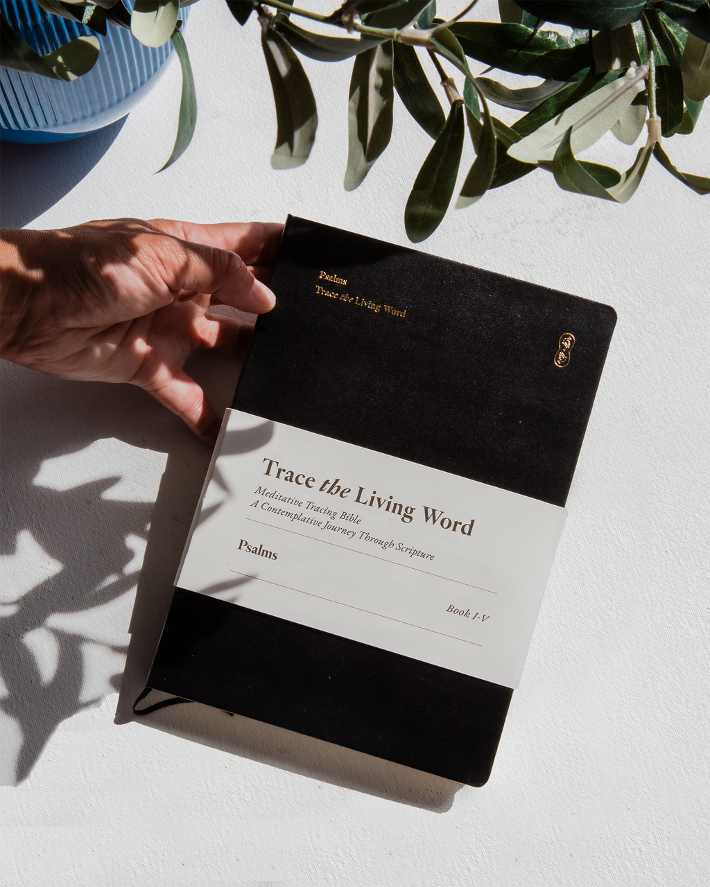 Psalms I–V | Meditative Tracing Bible | A5 Hardback | ✨Pre-Order✨