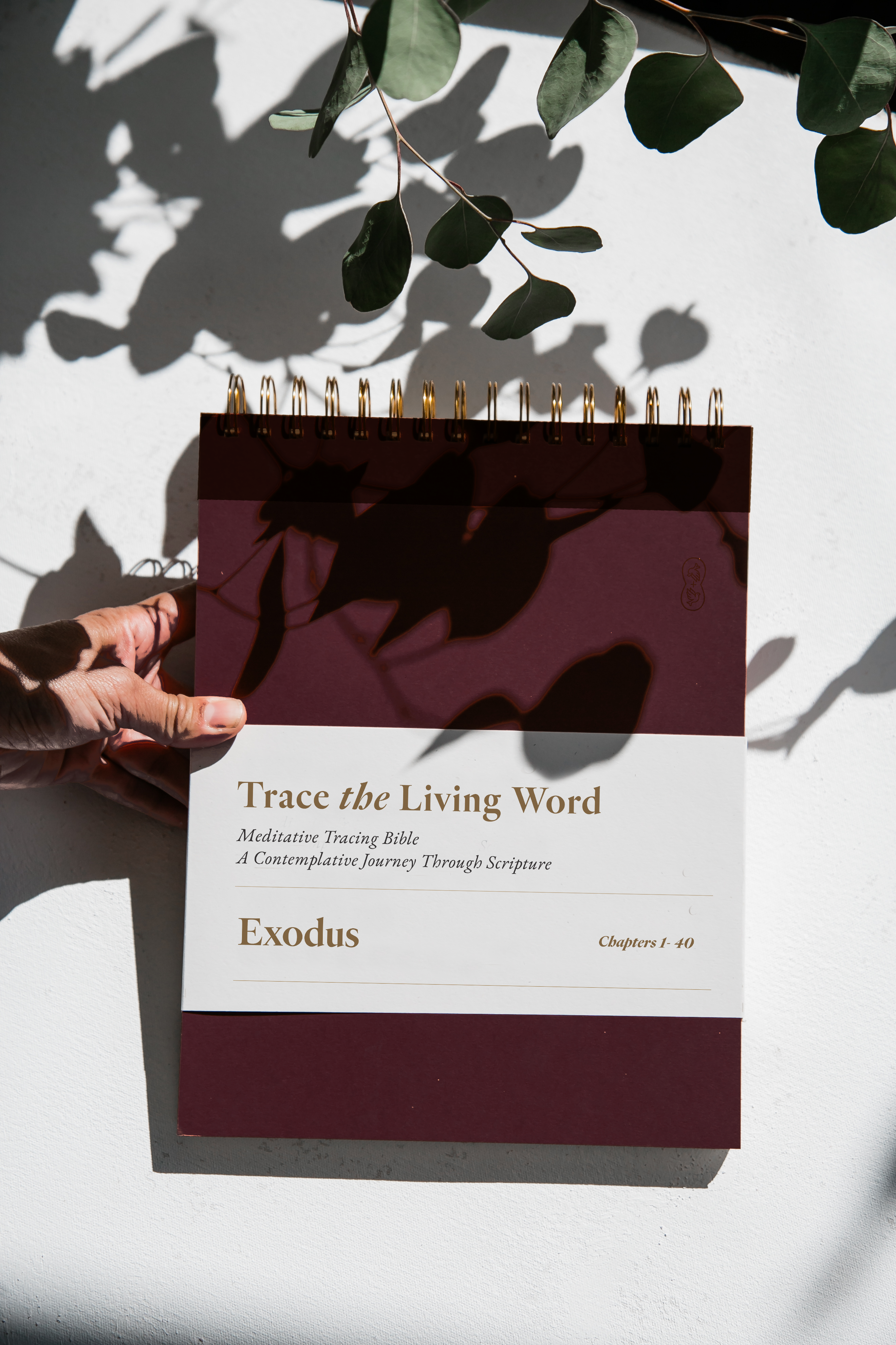 Exodus | Tracing Bible | The Classic - Pre Order Ships 23rd March!