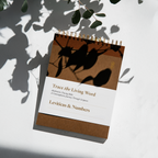 Leviticus & Numbers | Tracing Bible | The Classic | ✨Pre-Order!✨