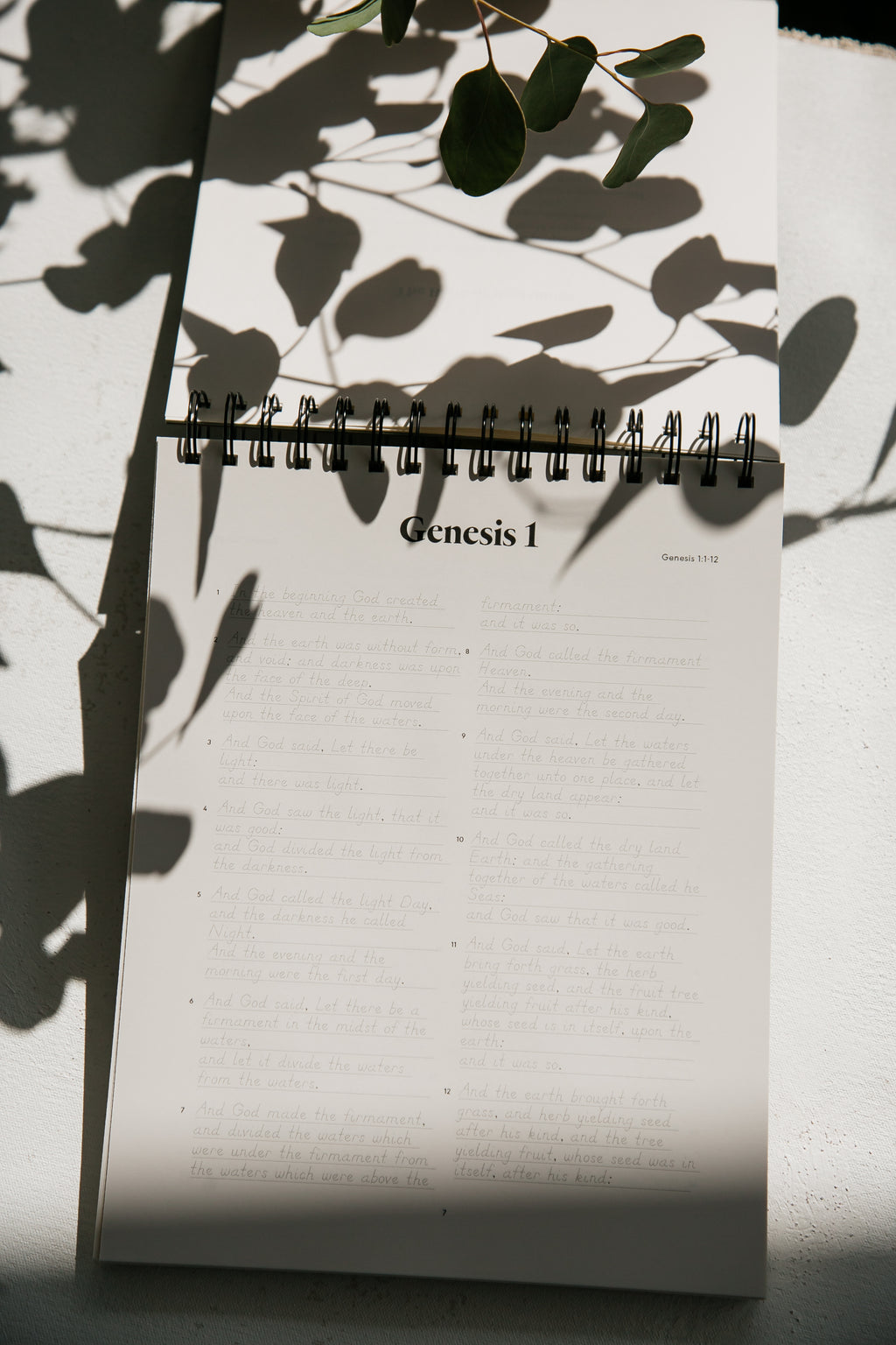 Genesis | Essentials Edition