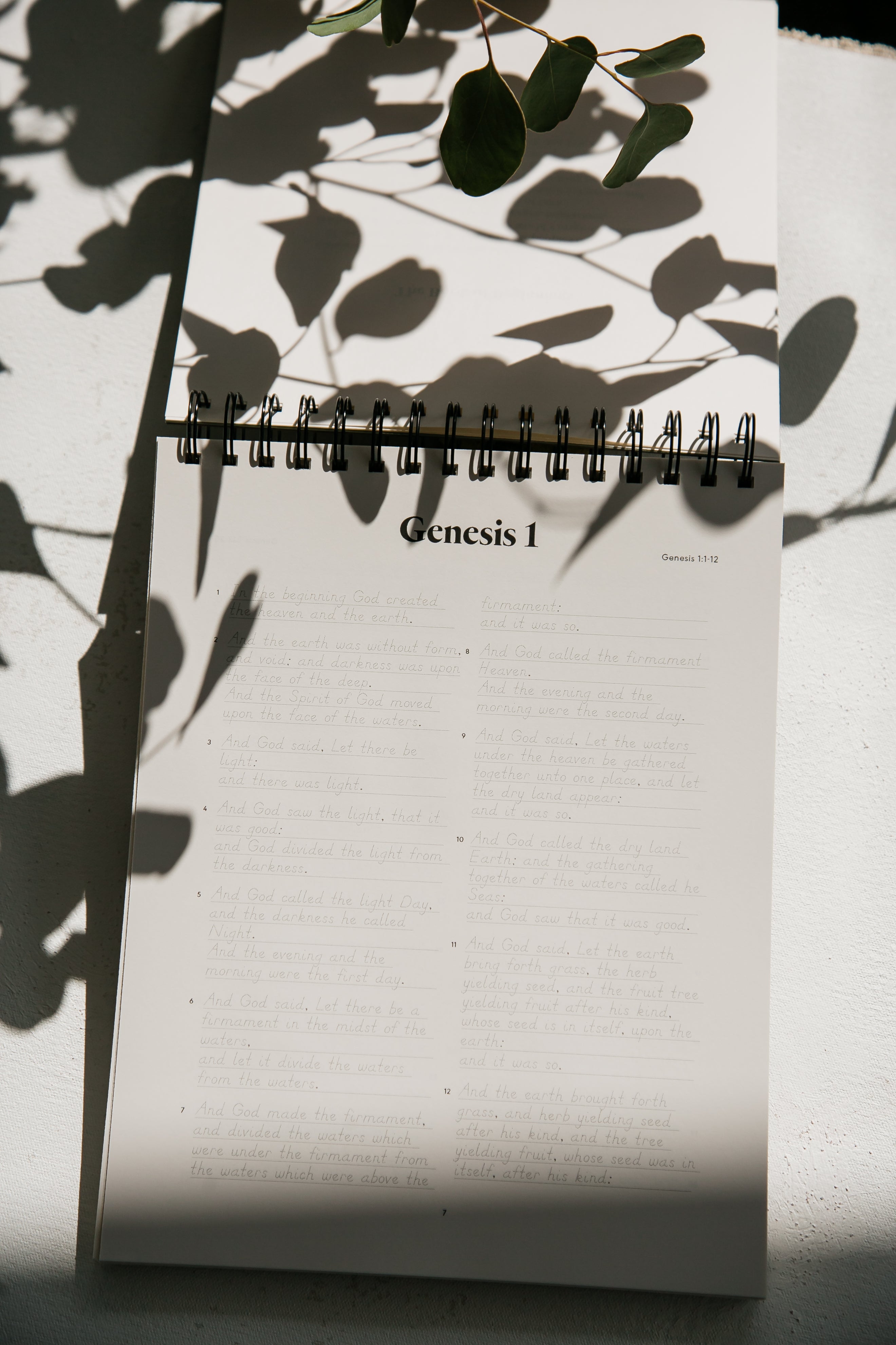 Genesis | Essentials Edition
