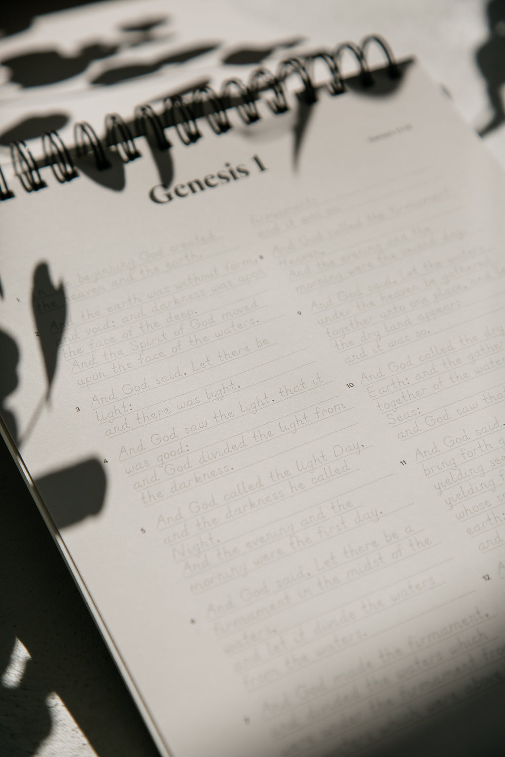 Genesis | Essentials Edition
