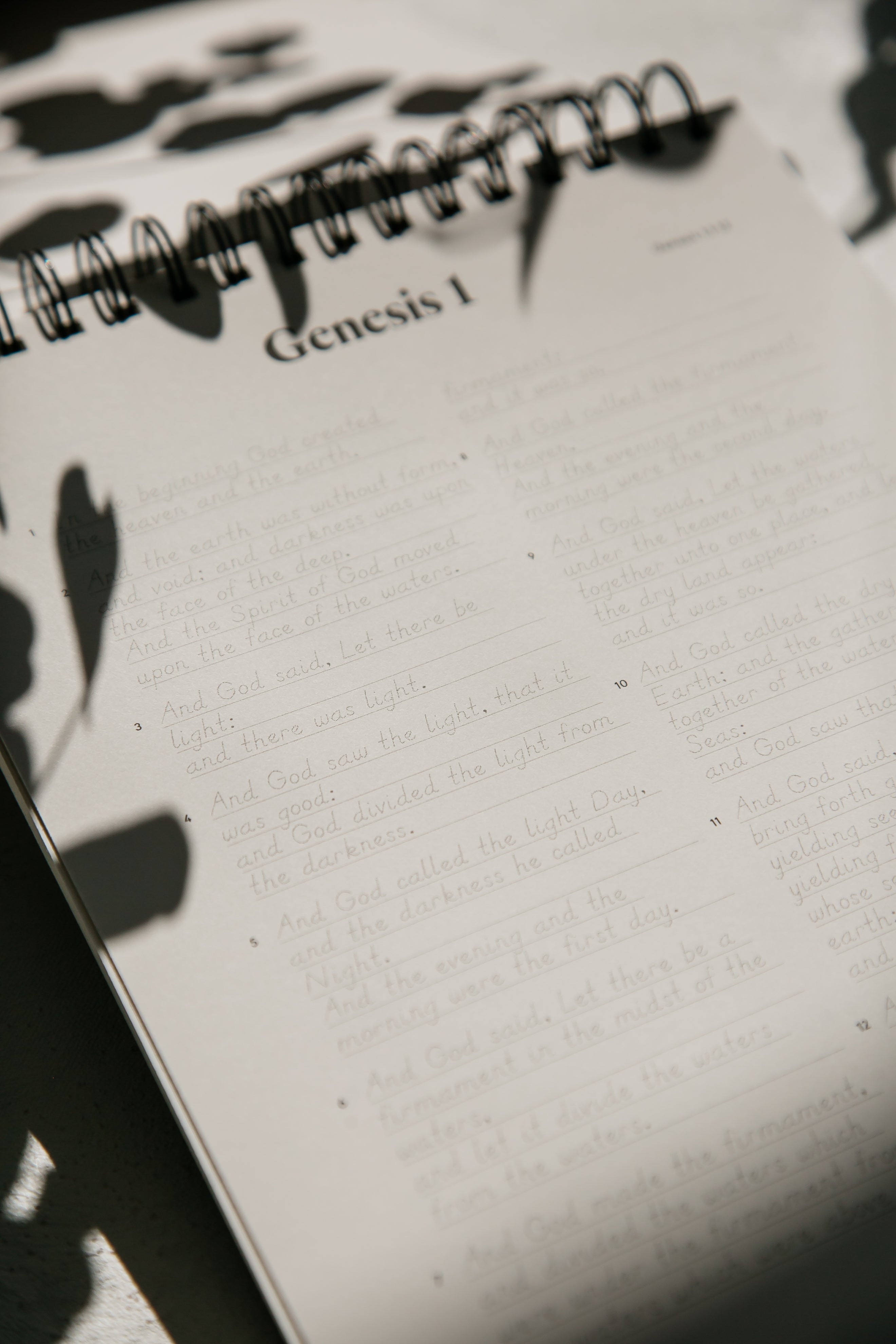Genesis | Essentials Edition