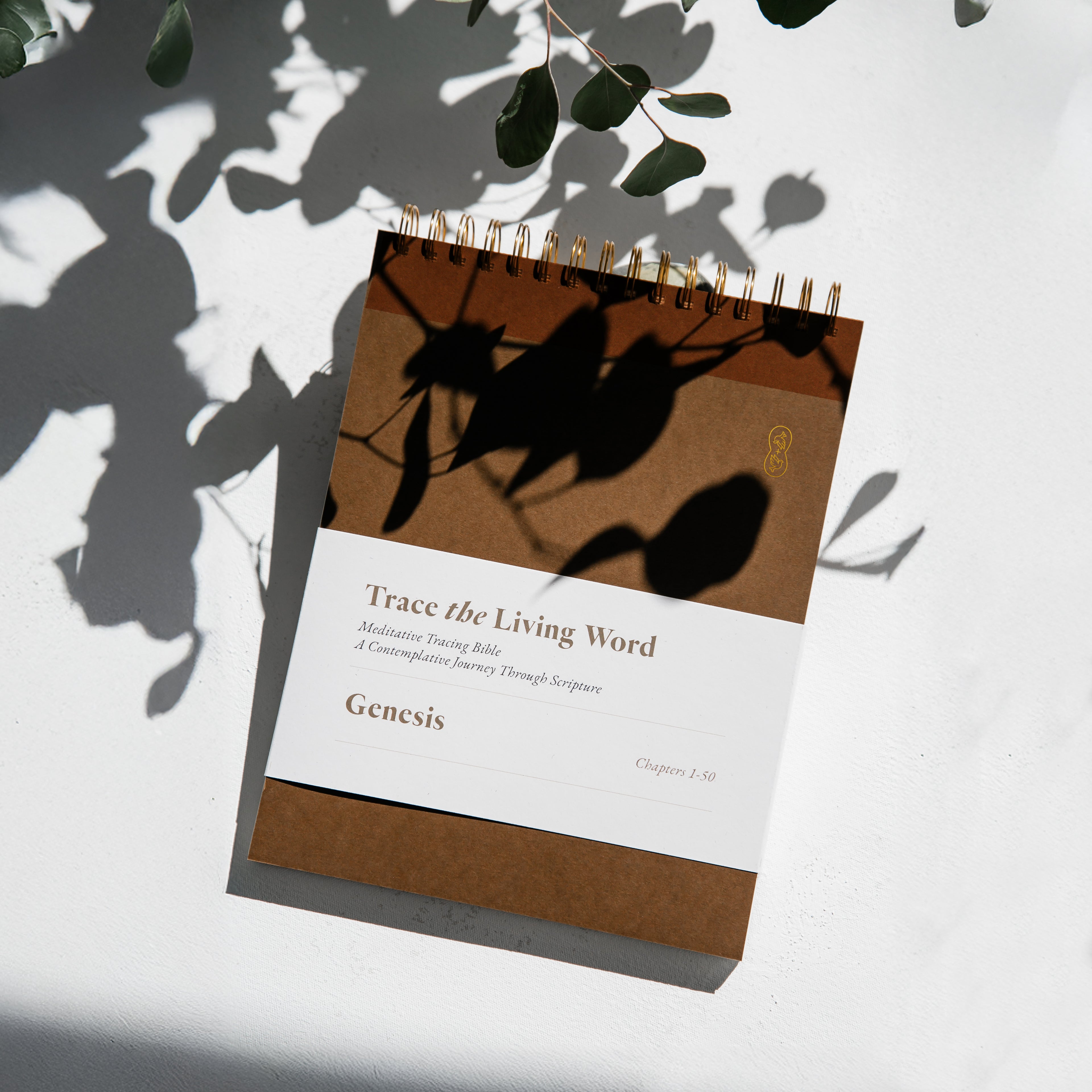 Genesis | Custom Classic Edition