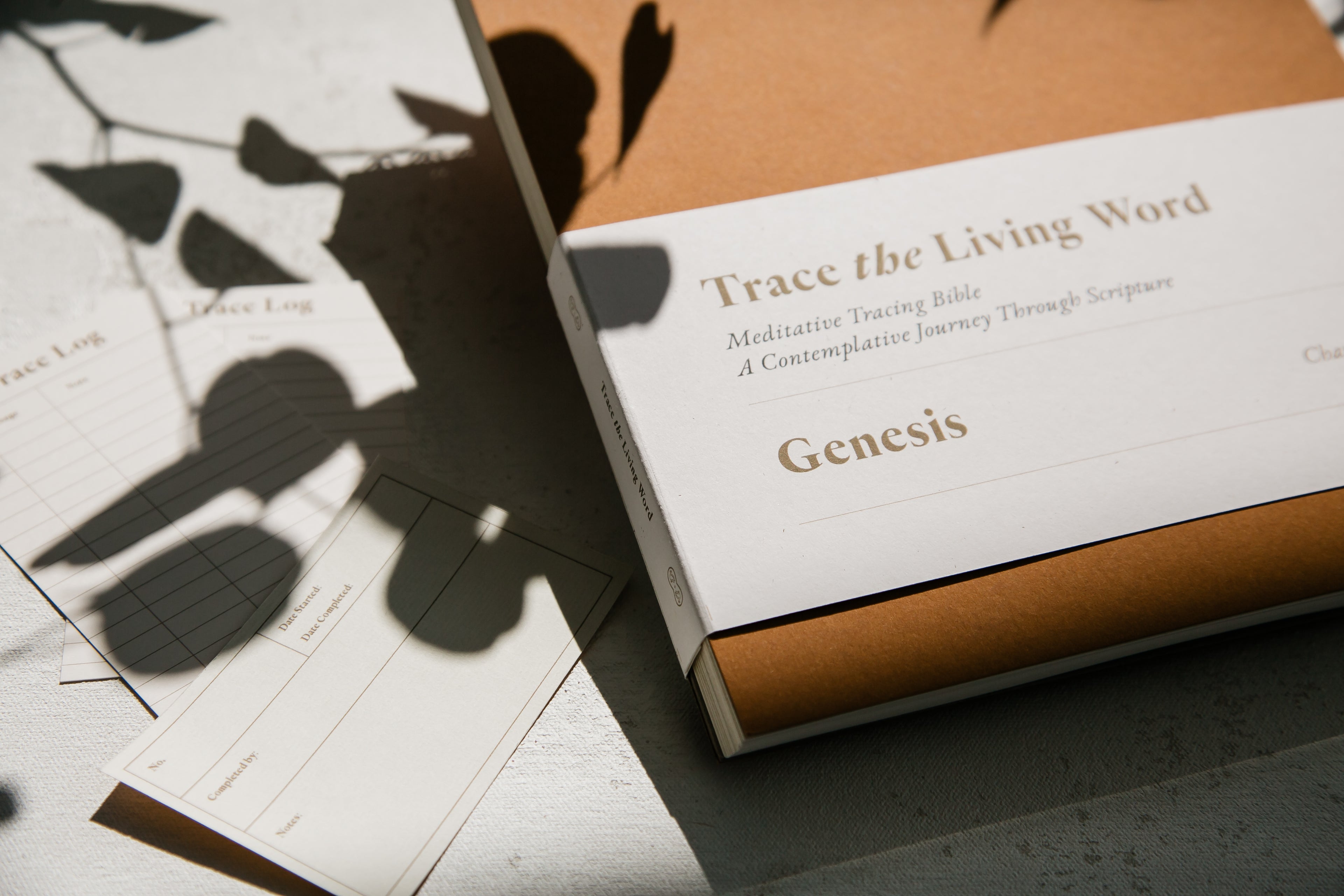 Genesis | Classic Edition