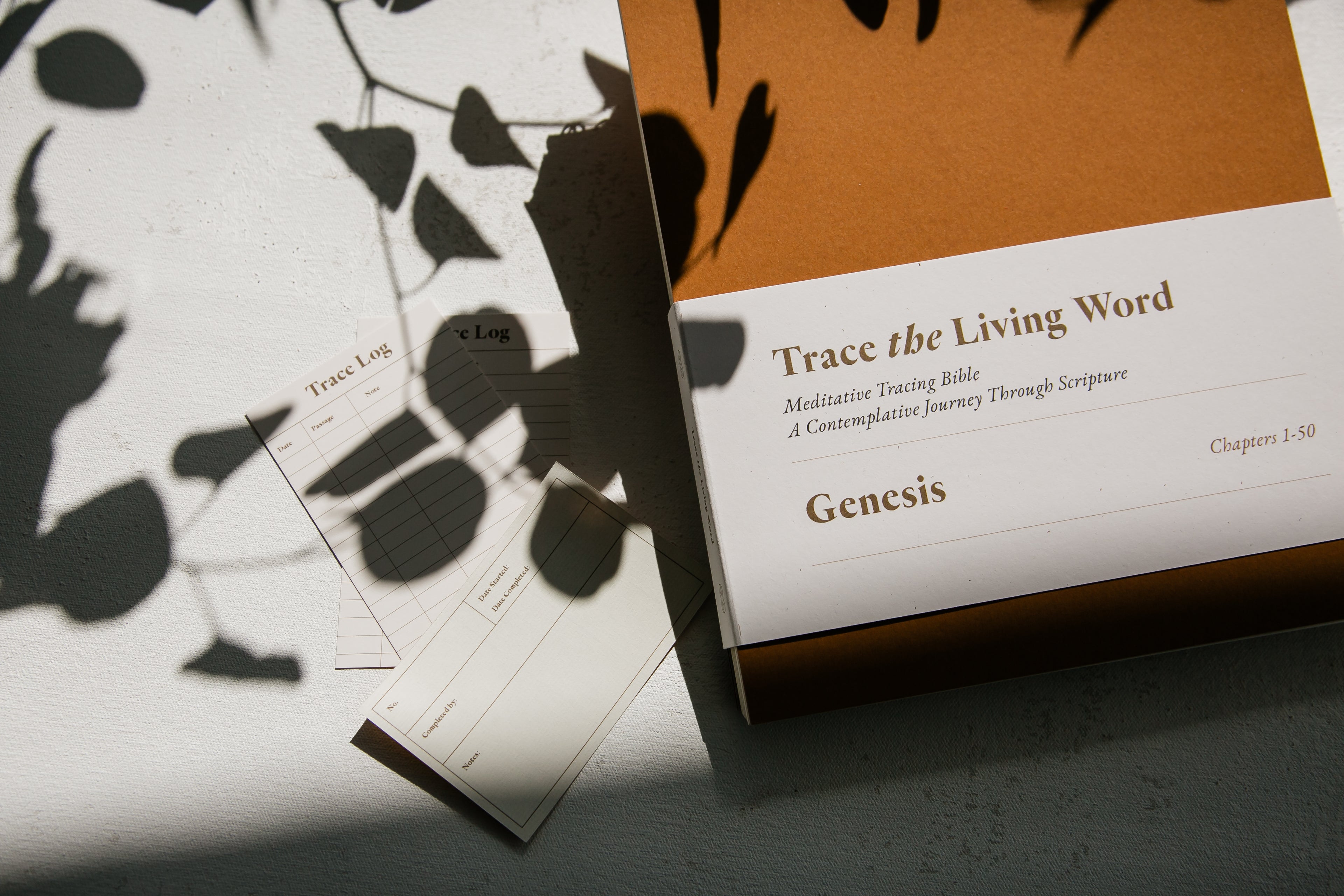 Genesis | Classic Edition