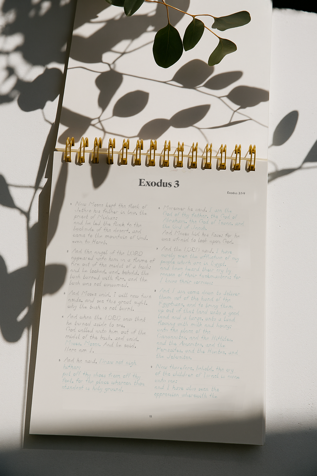 Exodus | Tracing Bible | The Classic | ✨Pre-Order!✨