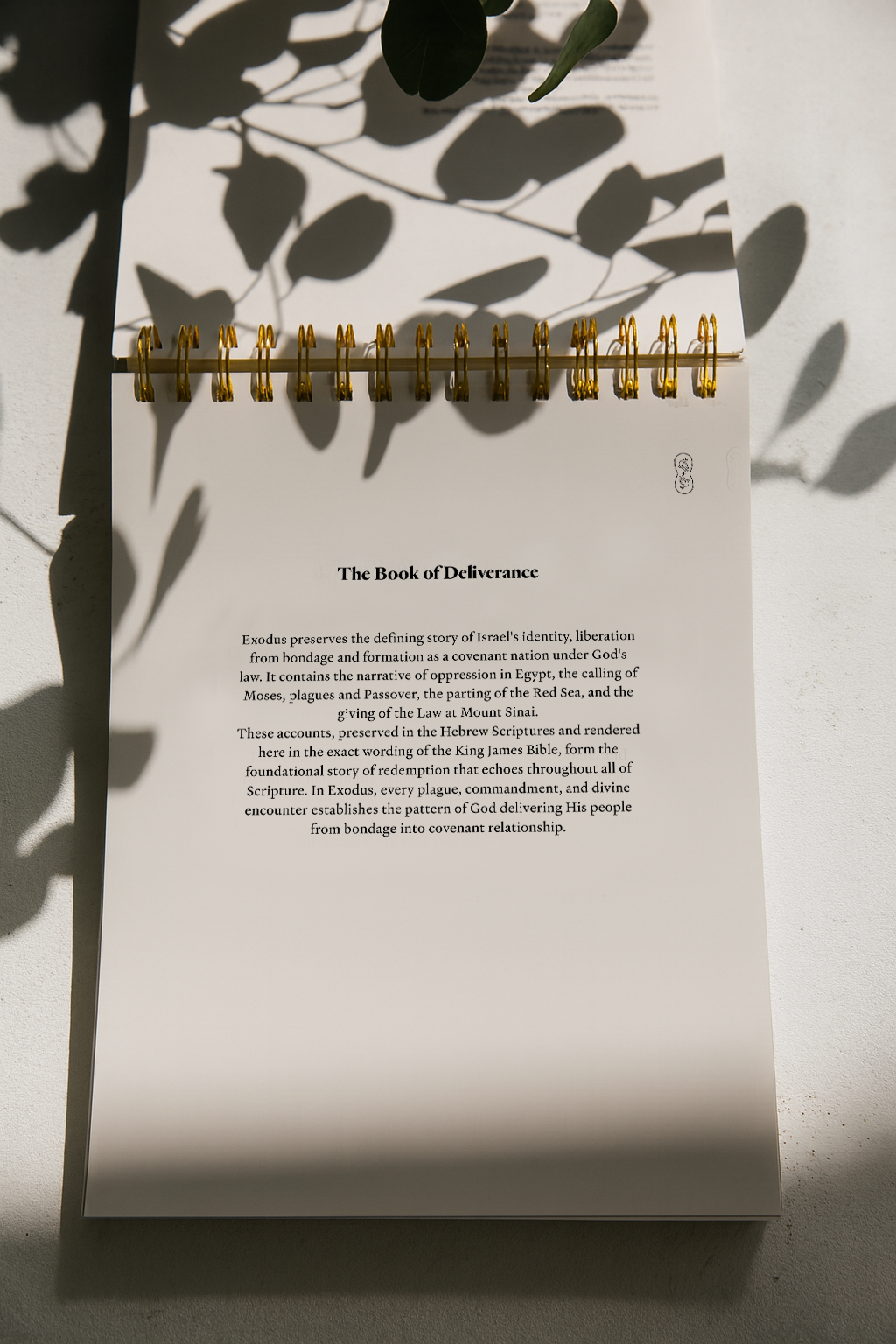 Exodus | Tracing Bible | The Classic - Pre Order Ships 23rd March!