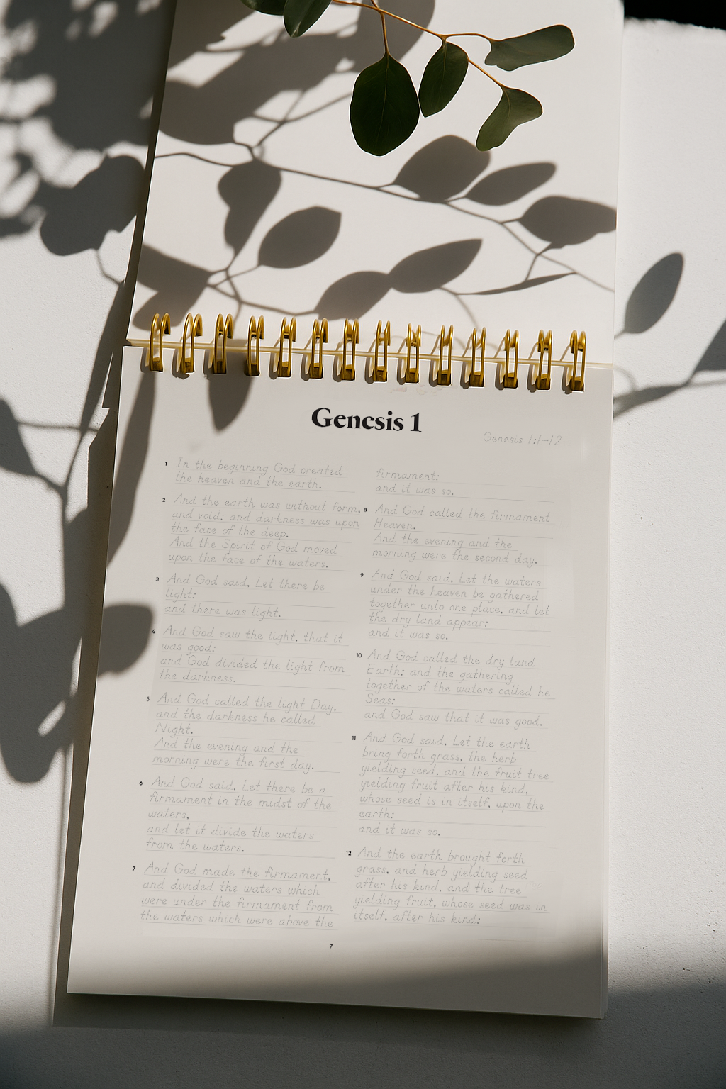 Genesis | Tracing Bible | The Classic - Second Edition