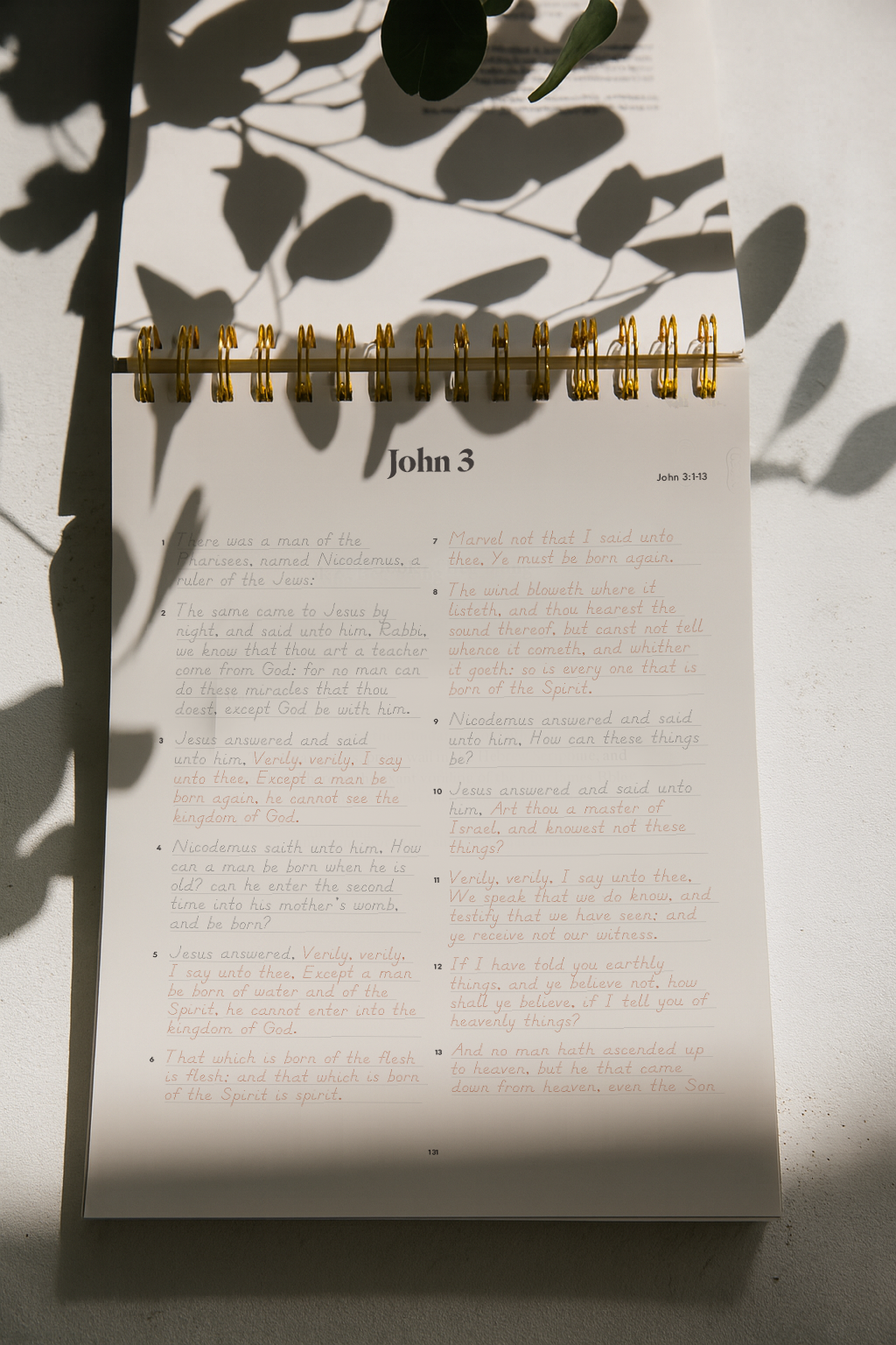 Gospel of Luke & John | Tracing Bible | The Classic | ✨Pre-Order!✨
