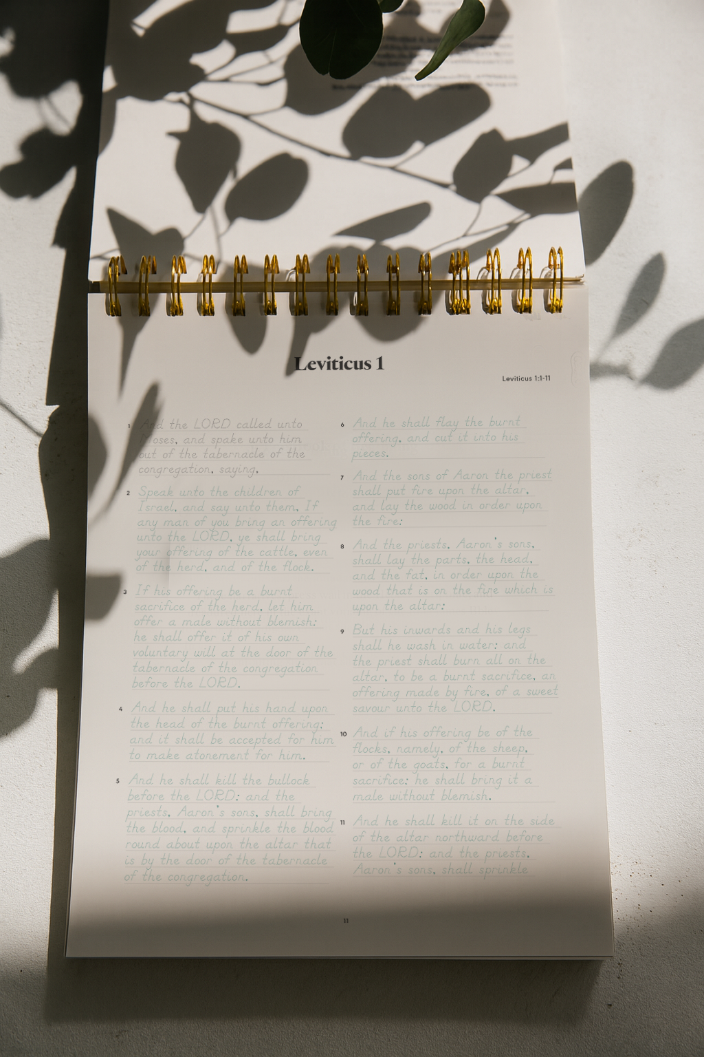 Leviticus & Numbers | Tracing Bible | The Classic | ✨Pre-Order!✨