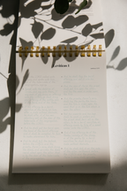 Leviticus & Numbers | Tracing Bible | The Classic | ✨Pre-Order!✨