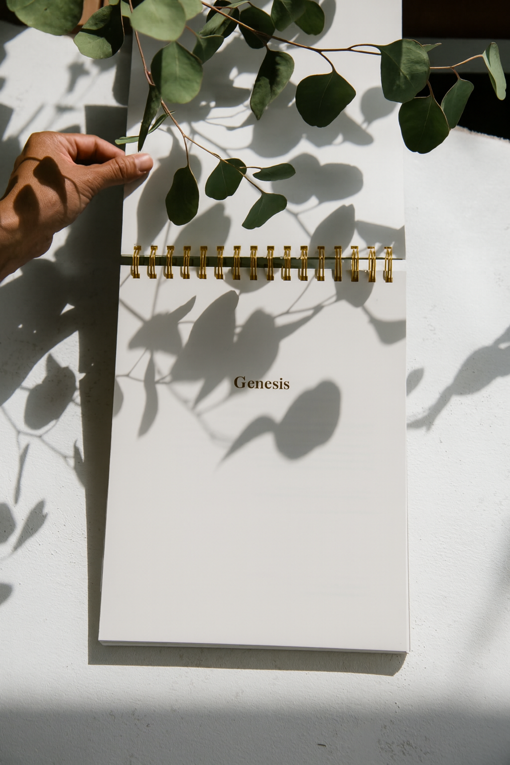 Genesis | Classic Edition